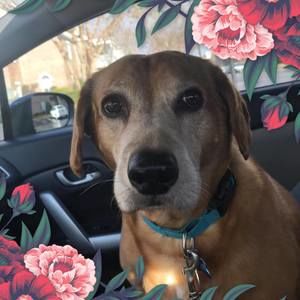 Meet your Posher, Anna